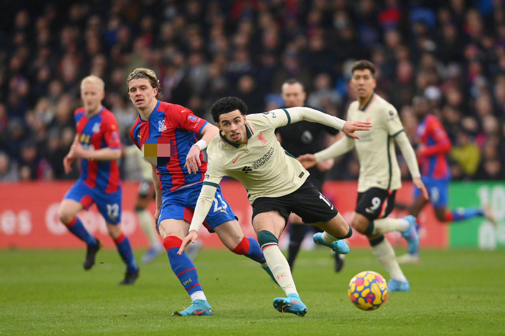 未来的期待 未来的期待